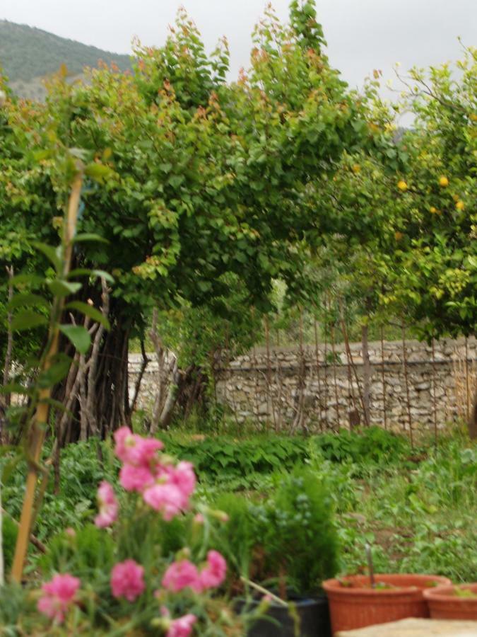 Ferienwohnung La Casa Di Nonna Qeparo Exterior foto